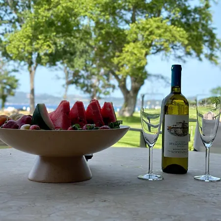 וילה Aurora Luxury Chalkidiki